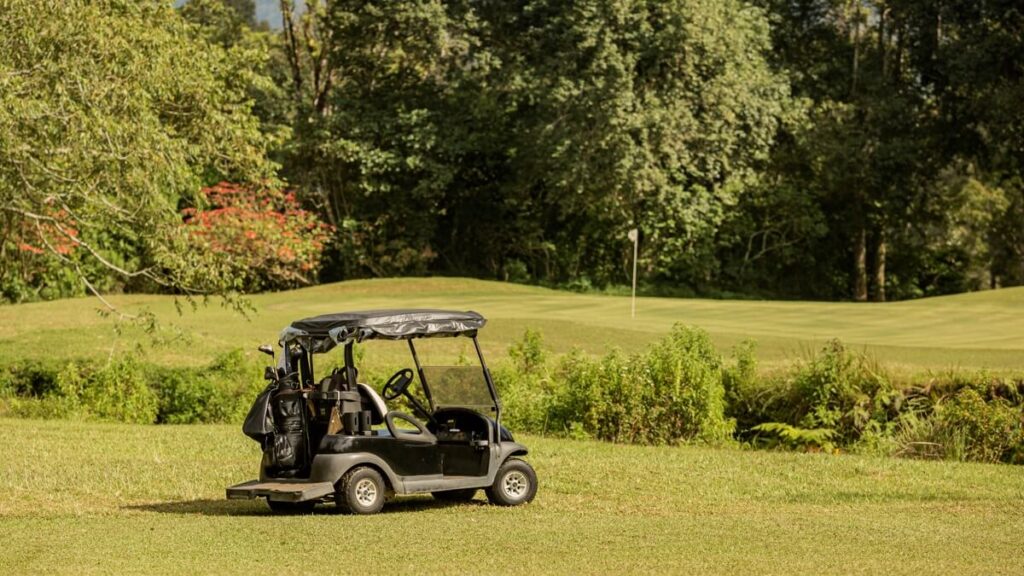 Carrito Golf